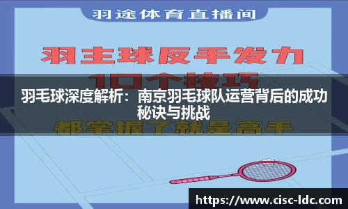 羽毛球深度解析：南京羽毛球队运营背后的成功秘诀与挑战