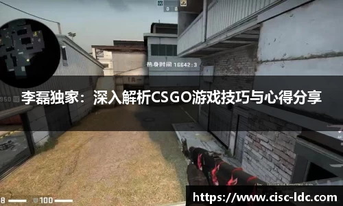 李磊独家：深入解析CSGO游戏技巧与心得分享