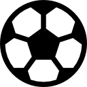 申宸禹
